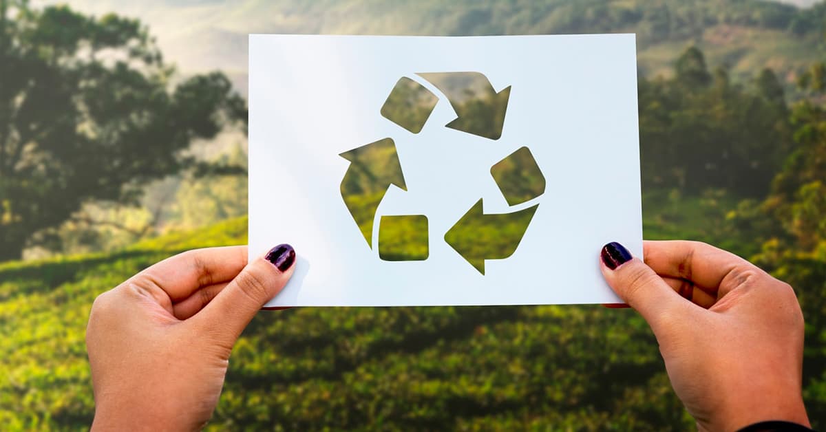 Diferencia entre papel ecológico y reciclado - Distribución de papel  Castilla y León, S.A